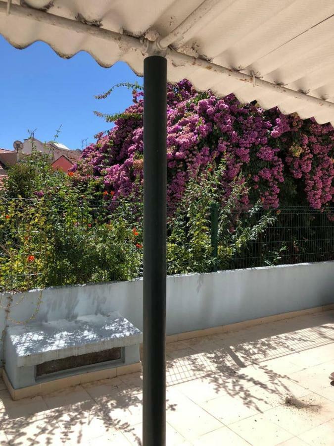 Grandmommy'S House - Traditional And Comfy Lisboan Apartment מראה חיצוני תמונה